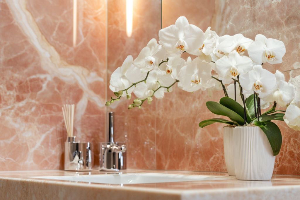 Elegant white orchid placed on a marble bathroom sink, demonstrating how plants for bathroom decor add a touch of luxury and freshness.