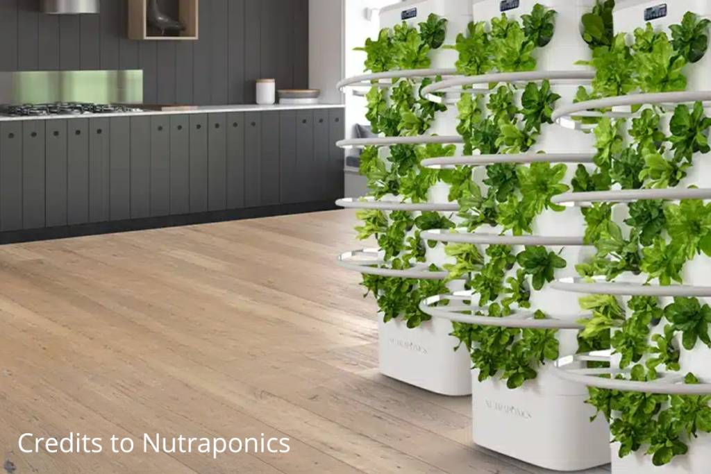 A sleek tower garden system by Nutraponics in a contemporary kitchen, with multiple rows of thriving lettuce plants growing vertically.